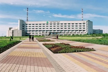 Де вчитися ніж займатися