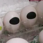 Яка на смак місія і з чого складається призначення людини, школа долі - альфа і омега (справжні інтереси) Яка на смак місія і з чого складається призначення людини, школа долі - альфа і омега
