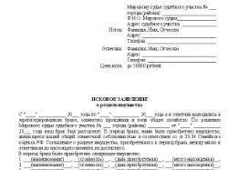 Позовна заява про поділ майна як скласти, зразок (онлайн юрист консультація безкоштовно) Позовна заява про поділ майна як скласти, зразок