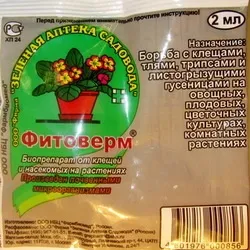 Як боротися з капустяної білявкою (води наполягати години) Як боротися з капустяної білявкою