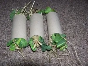 Іграшки для декоративних кроликів своїми руками (кроликів) Іграшки для декоративних кроликів своїми руками