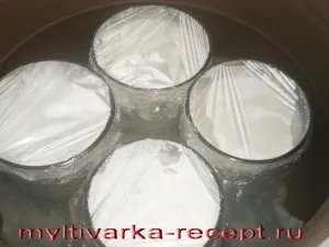 Йогурт в мультиварці Філіпс 3039 правильно готуємо, готуємо в мультиварці (йогурт) Йогурт в мультиварці Філіпс 3039 правильно готуємо, готуємо в мультиварці