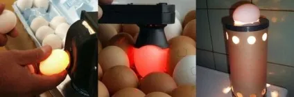 Інкубація курячих яєць вимоги до інкубіруемой продукту, правила проведення в домашніх умовах (інкубація) Інкубація курячих яєць вимоги до інкубіруемой продукту, правила проведення в домашніх умовах
