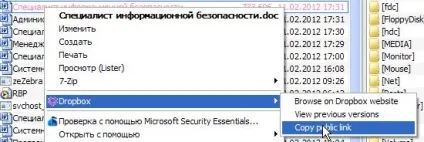 Як швидко поділитися файлами в мережі (Dropbox дозволить синхронізувати) Як швидко поділитися файлами в мережі