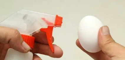Інкубація курячих яєць вимоги до інкубіруемой продукту, правила проведення в домашніх умовах (вимоги) Інкубація курячих яєць вимоги до інкубіруемой продукту, правила проведення в домашніх умовах