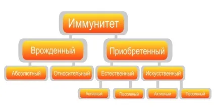 імунітет людини