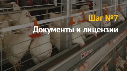 Ідея бізнесу як відкрити бізнес з розведення курей бройлерів і несучок
