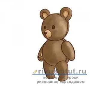 Як намалювати плюшевого ведмедика олівцем поетапно - малюємо тут (ведмедика) Як намалювати плюшевого ведмедика олівцем поетапно - малюємо тут