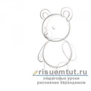 Як намалювати плюшевого ведмедика олівцем поетапно - малюємо тут (ведмедика) Як намалювати плюшевого ведмедика олівцем поетапно - малюємо тут