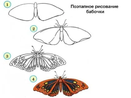 Як намалювати метелика прості поради для початківців, ls (намалювати) Як намалювати метелика прості поради для початківців, ls