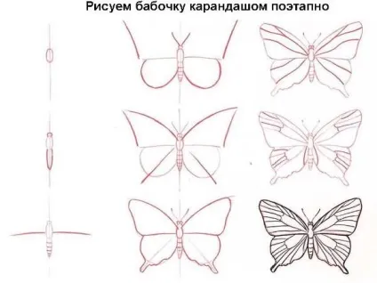 Як намалювати метелика прості поради для початківців, ls (прості) Як намалювати метелика прості поради для початківців, ls