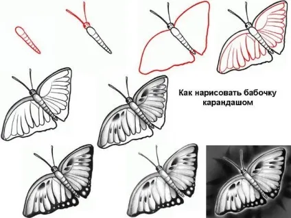Як намалювати метелика прості поради для початківців, ls (прості) Як намалювати метелика прості поради для початківців, ls