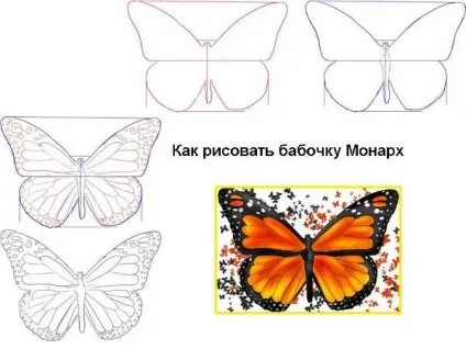 Як намалювати метелика прості поради для початківців, ls (прості) Як намалювати метелика прості поради для початківців, ls