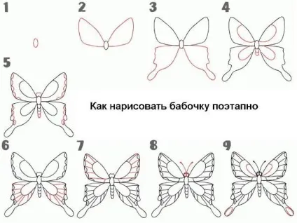 Як намалювати метелика прості поради для початківців, ls (намалювати) Як намалювати метелика прості поради для початківців, ls