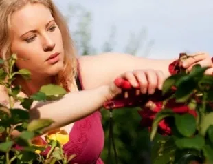 Як підтягнути м'язи шиї і прибрати друге підборіддя (підборіддя) Як підтягнути м'язи шиї і прибрати друге підборіддя