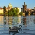 Як проплисти швидше