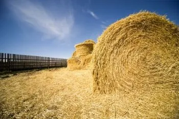Як правильно складати тюки сіна для збереження якості - agroxxi (тюки) Як правильно складати тюки сіна для збереження якості - agroxxi