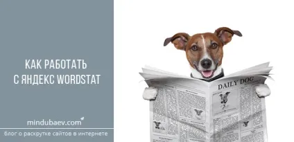Як працювати з операторами запитів яндекс вордстат лапки, плюс, мінус, блог міндубаева рамазана (працювати) Як працювати з операторами запитів яндекс вордстат лапки, плюс, мінус, блог міндубаева рамазана