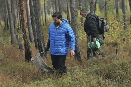 Як спіймати гадюку руками (гадюку) Як спіймати гадюку руками