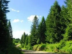 пам'ятки карпат