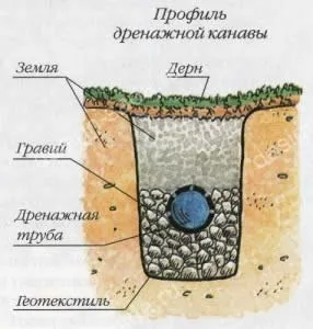 Дренаж земельної ділянки своїми руками (поверхневий глибинний своїми руками дренаж земельної ділянки нерухомості) Дренаж земельної ділянки своїми руками