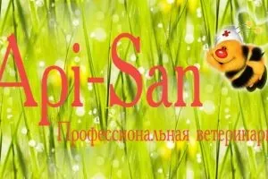 Двухматочное зміст бджіл нюанси і особливості