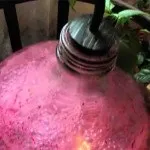 Як зробити домашнє газоване вино (зробити) Як зробити домашнє газоване вино