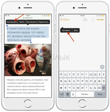 Як зробити і відредагувати скріншот в ios 11 на iphone, ipad, ipod touch, новини iphone, ipad і (скріншот) Як зробити і відредагувати скріншот в ios 11 на iphone, ipad, ipod touch, новини iphone, ipad і