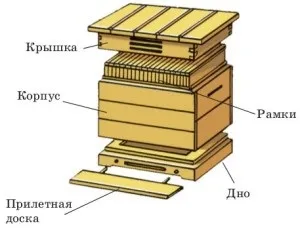 Як влаштований вулик