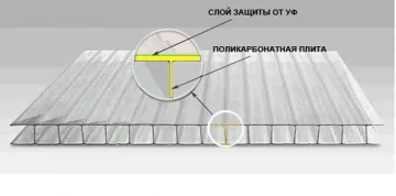 Як вибрати теплицю з полікарбонату (вибрати) Як вибрати теплицю з полікарбонату