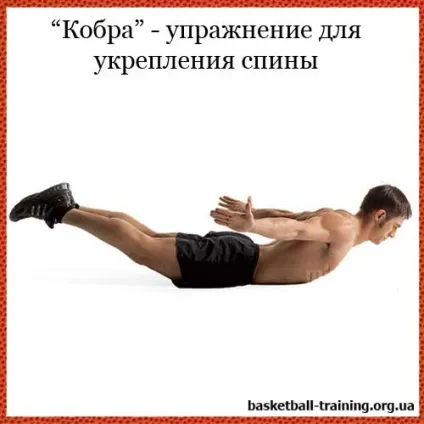 Як зміцнювати м'язи спини (м'язи верхньої частини) Як зміцнювати м'язи спини
