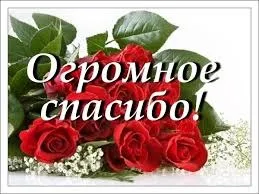 Як живуть бідні американці, все про життя в сша (офіційний рівень бідності) Як живуть бідні американці, все про життя в сша