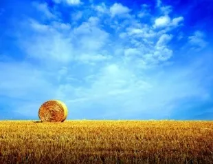 Олівець для губ як вибрати олівець для губ (олівець) Олівець для губ як вибрати олівець для губ