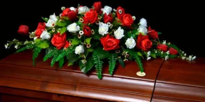 До чого сниться віко домовини - сонник