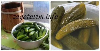 Як засолити огірки в бочці на зиму (бочці) Як засолити огірки в бочці на зиму