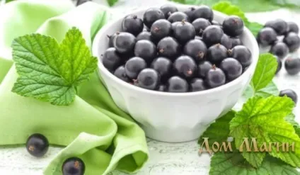 До чого сниться чорна смородина велика, на кущах, ягоди (кущах) До чого сниться чорна смородина велика, на кущах, ягоди