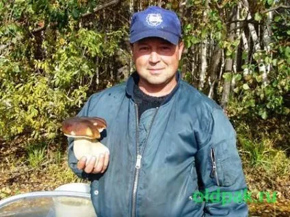 Як заморозити лисички без гіркоти (заморозити) Як заморозити лисички без гіркоти