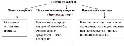 Конспект уроку на тему «біосфера