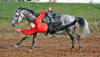 Кінний спорт конярство і спорт на конях (спорт) Кінний спорт конярство і спорт на конях