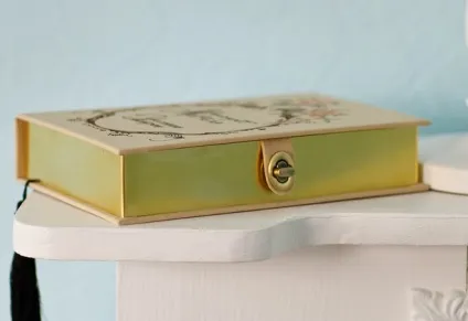 Клатчі у вигляді книг