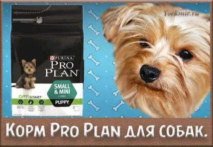 Корм для собак pro plan, види, відгуки про кормі