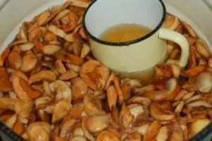 Квас з березового соку рецепти приготування в домашніх умовах (соку) Квас з березового соку рецепти приготування в домашніх умовах
