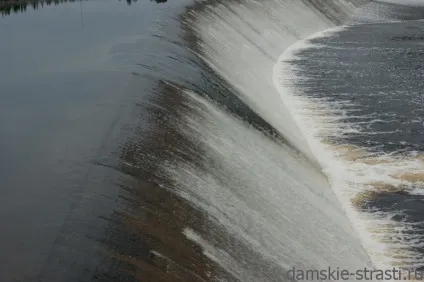 Краса води, дивне життя!