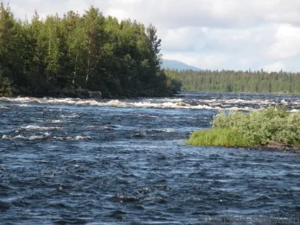 Краса води, дивне життя!