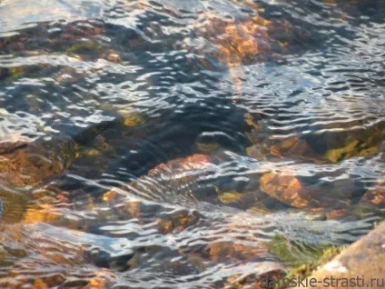 Краса води, дивне життя!