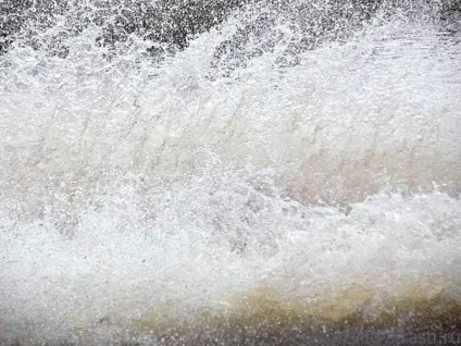 Краса води, дивне життя!