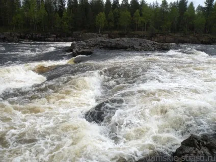 Краса води, дивне життя!