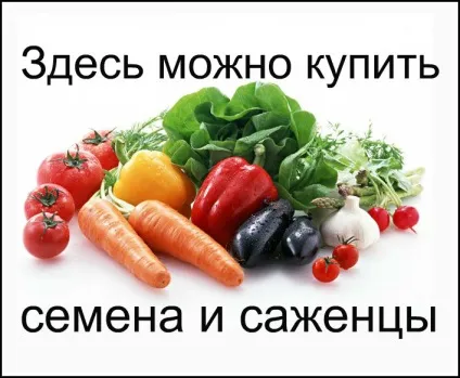 Купити і продати черешні оптом в Україні київ ціна подати оголошення дошка свіжі заморожені (купити і продати черешні оптом в Україні київ ціна подати оголошення дошка свіжі заморожені вибрати все пропозиції агробірж ціна продам куплю фрукти де знайти доставка фото користь рецепти куди здати приймає) Купити і продати черешні оптом в Україні київ ціна подати оголошення дошка свіжі заморожені
