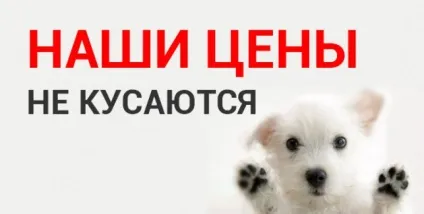 Маестро - укладання тротуарної плитки під ключ (тротуарної) Маестро - укладання тротуарної плитки під ключ