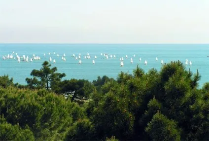 Лікування, терми хробака на курорті мілано Маріттіма, італія, cervia de terme, лікування остеопорозу, (лікування) Лікування, терми хробака на курорті мілано Маріттіма, італія, cervia de terme, лікування остеопорозу,